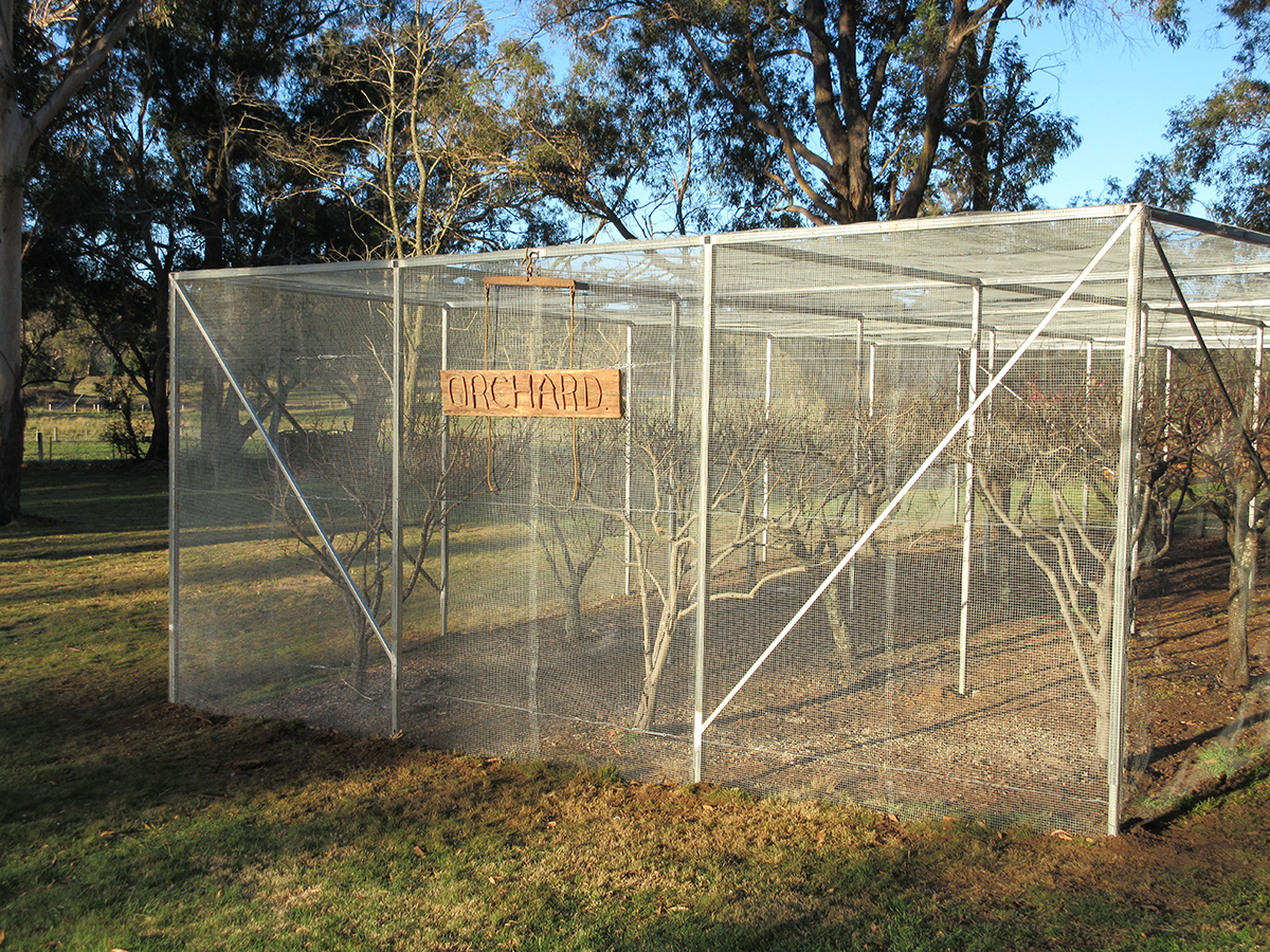 orchard enclosure garden enclosure mesh netting structure steel metalprotection garden plants cage bowral finigan wright fabrication, metal fabrication, moss vale robertson new south wales, robertson nsw, southern highlands steel, steel fabrication