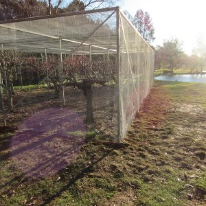 orchard enclosure garden enclosure mesh netting structure steel metalprotection garden plants cage bowral finigan wright fabrication, metal fabrication, moss vale robertson new south wales, robertson nsw, southern highlands steel, steel fabrication